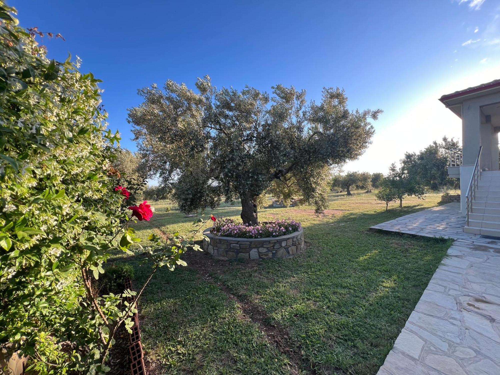 Villa Giannoula Gerakini Exteriör bild